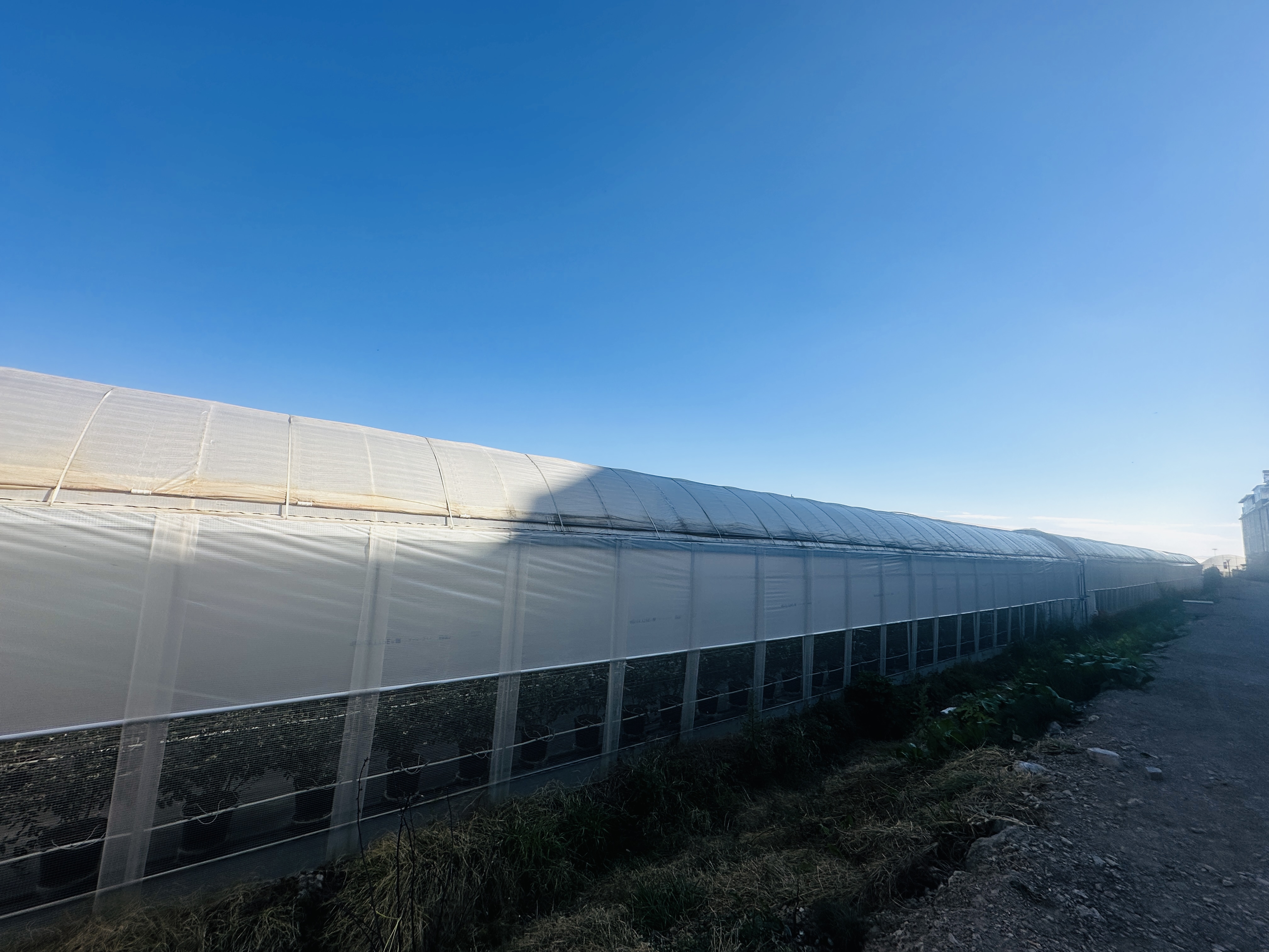 94DD37A36FE2F4CD71BCA43EDA53C7A7