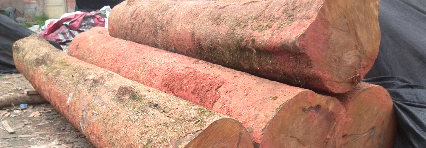 74CA884349A33B4C3428650456DAD87E