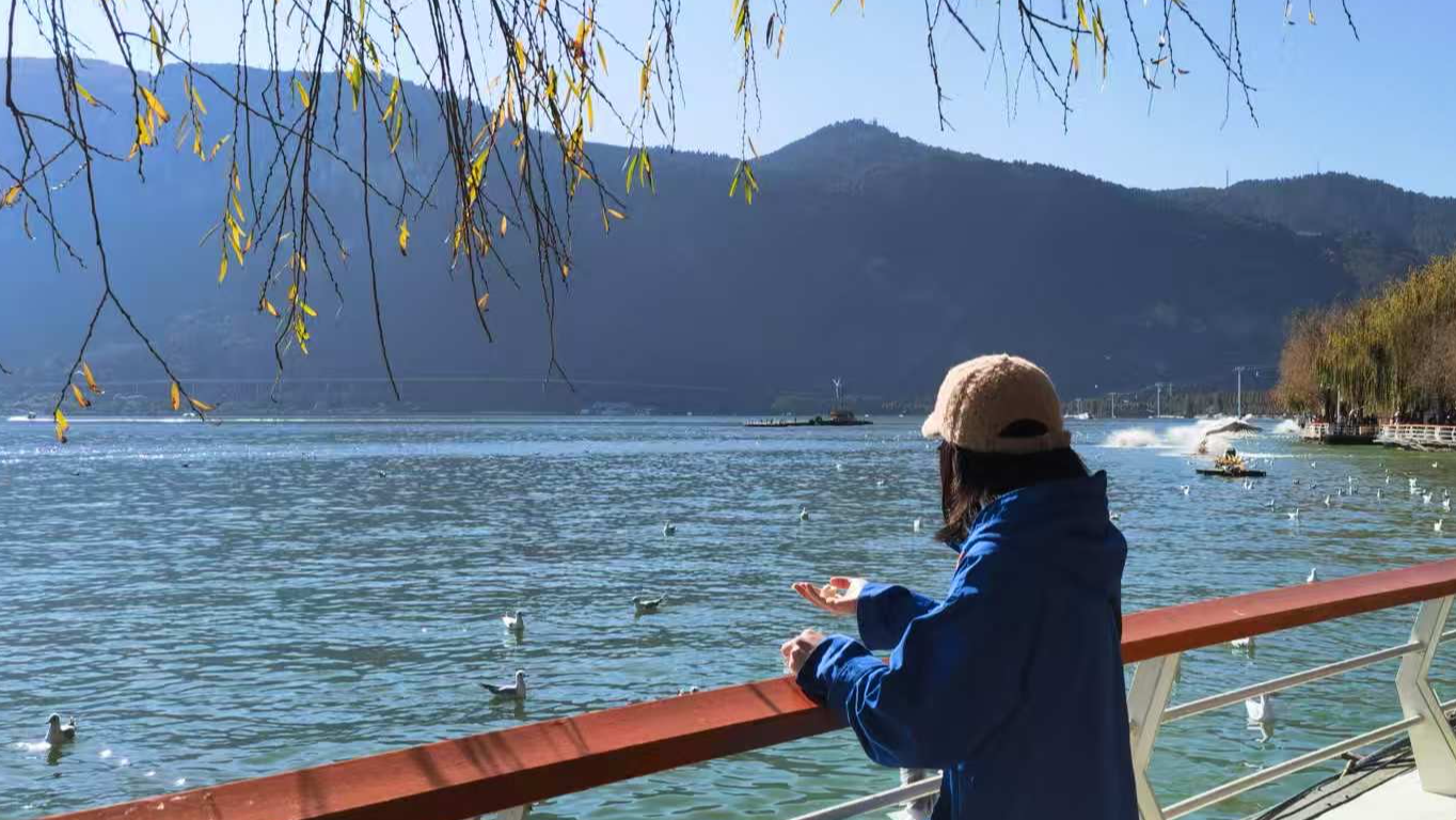 当技术问题变成系统问题