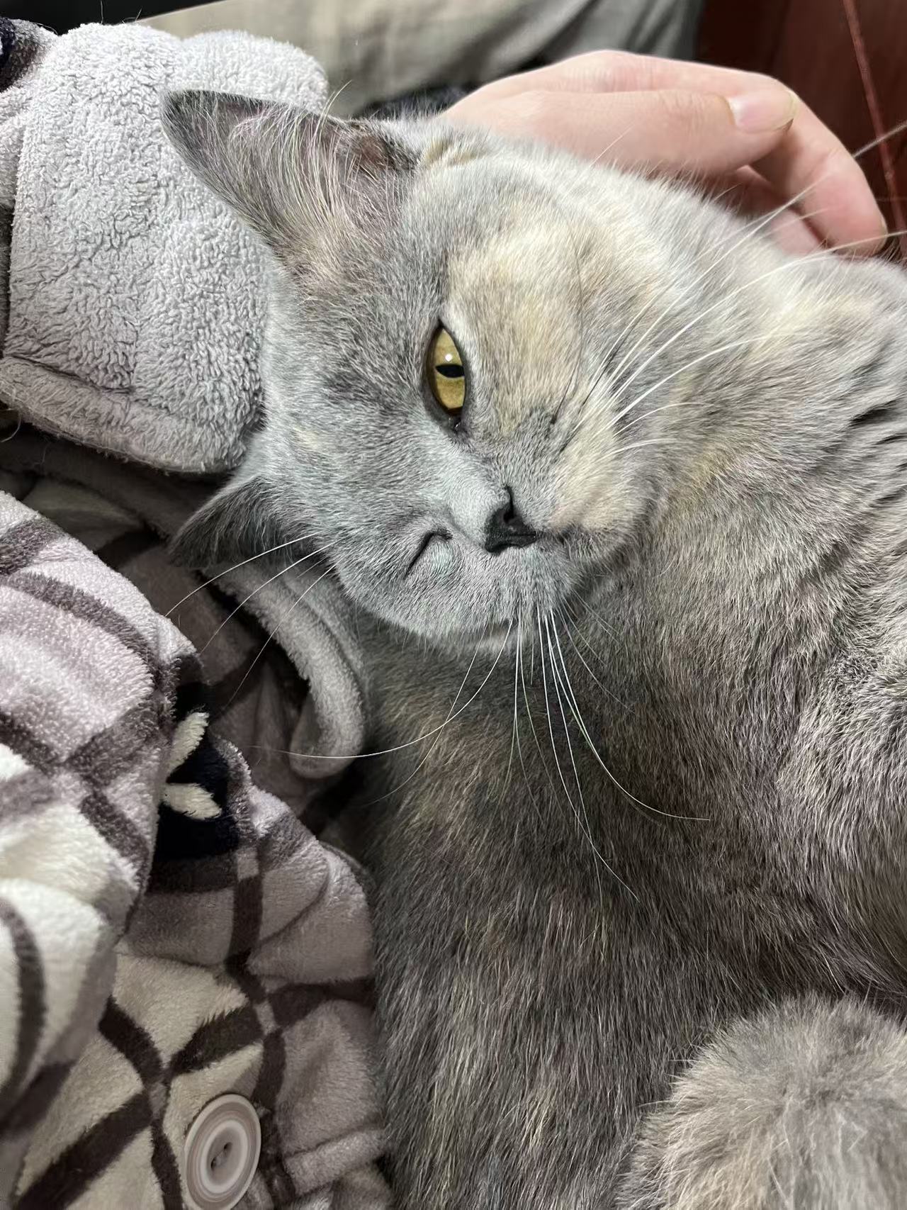 f0a75d6bd55424985534493366c5f6dd