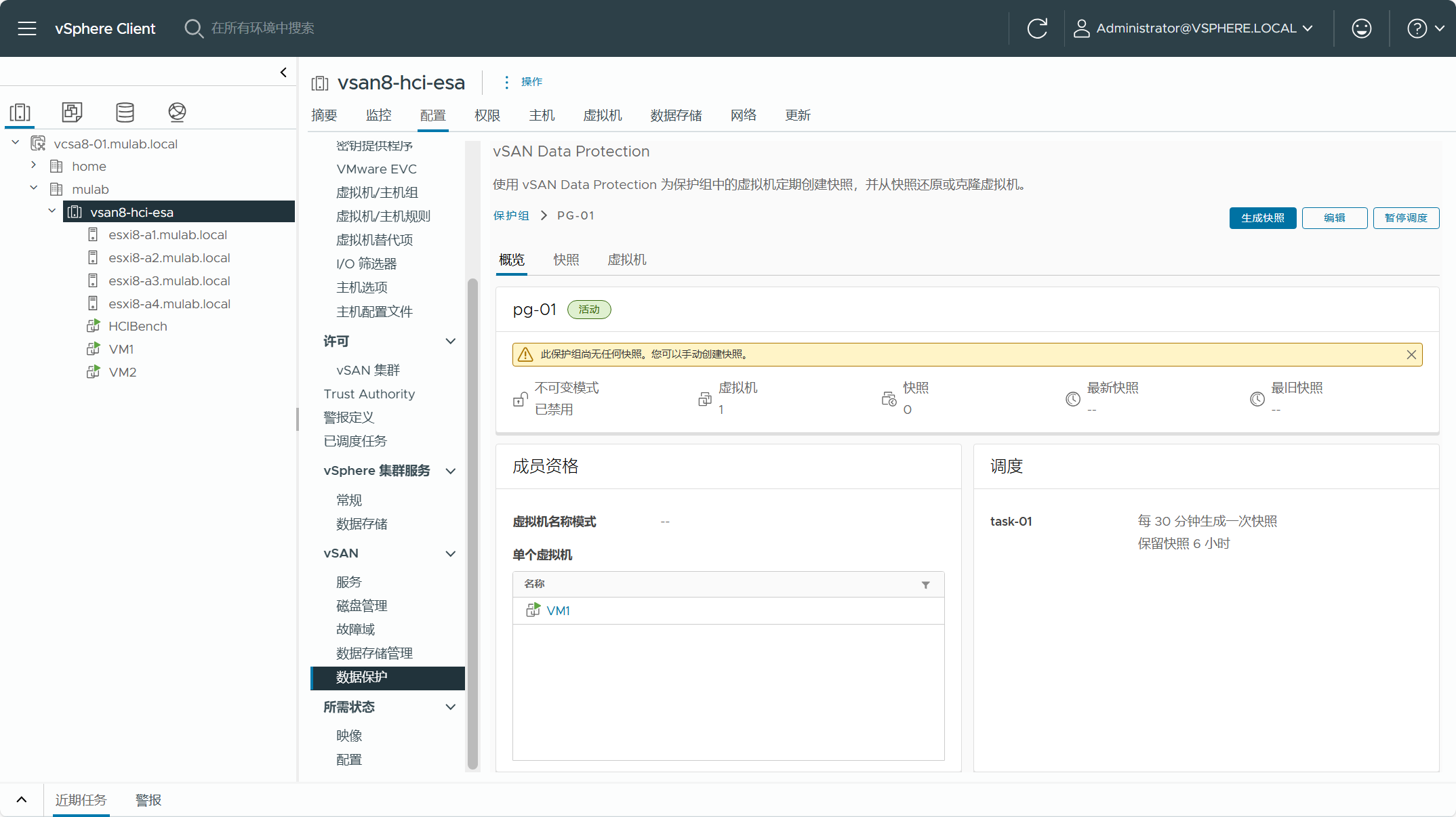 【VMware vSAN】vSAN Data Protection Part 2：配置管理。