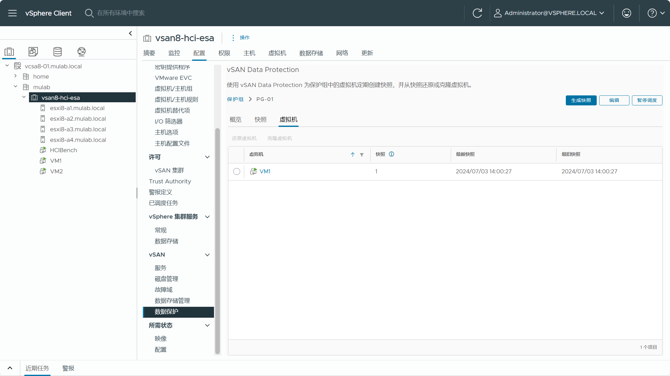 【VMware vSAN】vSAN Data Protection Part 2：配置管理。