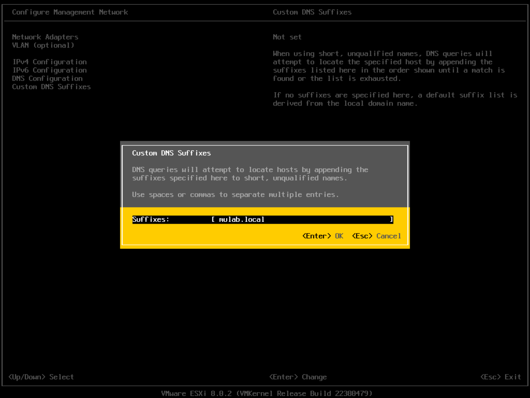 【VMware VCF】VMware Cloud Foundation Part 04：準備 ESXi 主機。