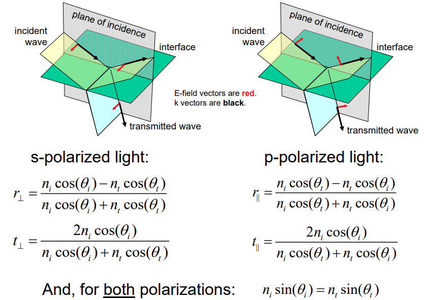 both polarizations