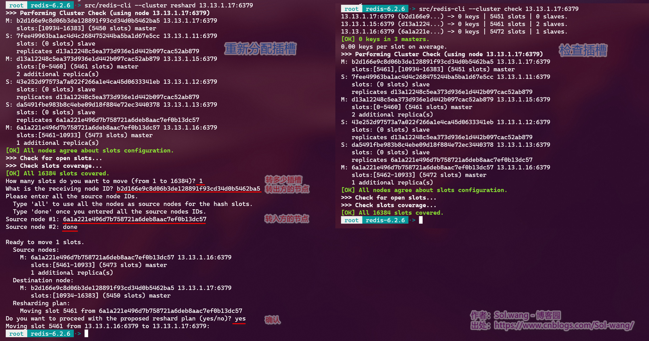 Redis-集群-reshard-check