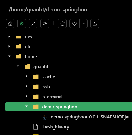 服务器目录结构