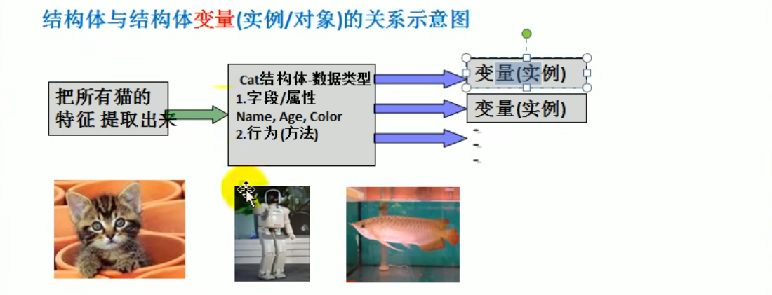 1.结构体与结构体变量(实例or对象)的关系示意图