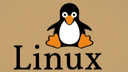 Linux基础04-Linux中目录和文件都能操作的命令