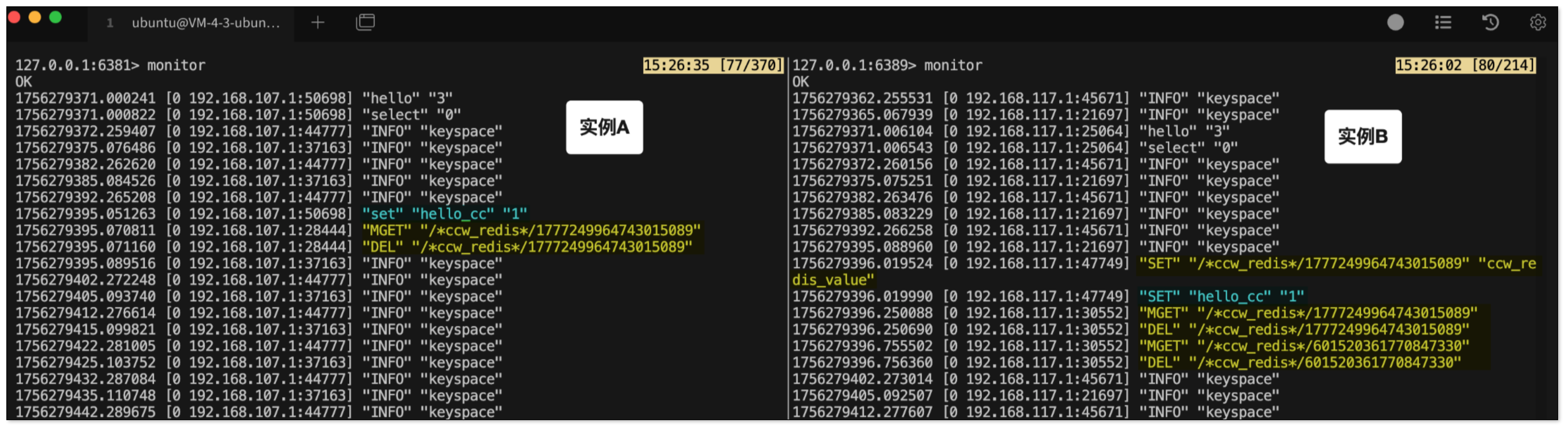 img_image_1757396359936_3