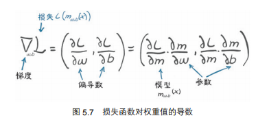 损失函数对权重值的导数