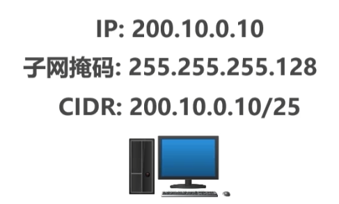 image-20250309154350970