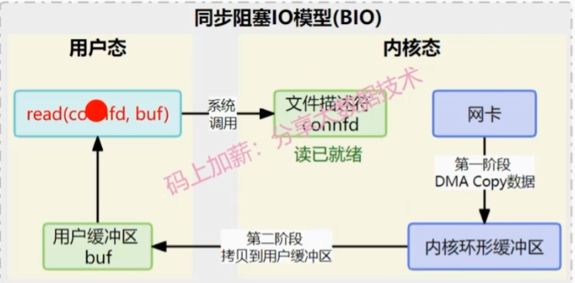 image-20250831140323911