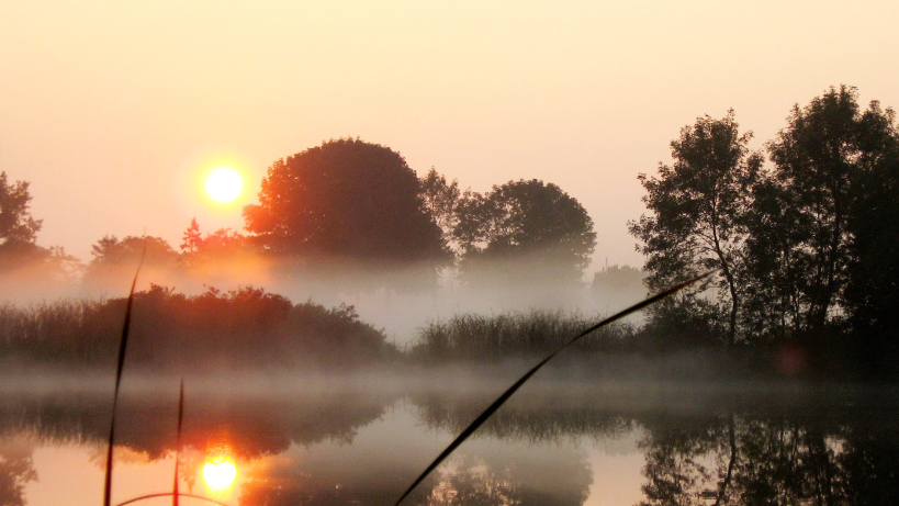 6.How to win friends and influence people