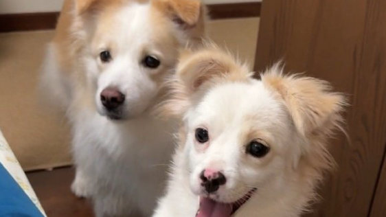 日志數據分析實例