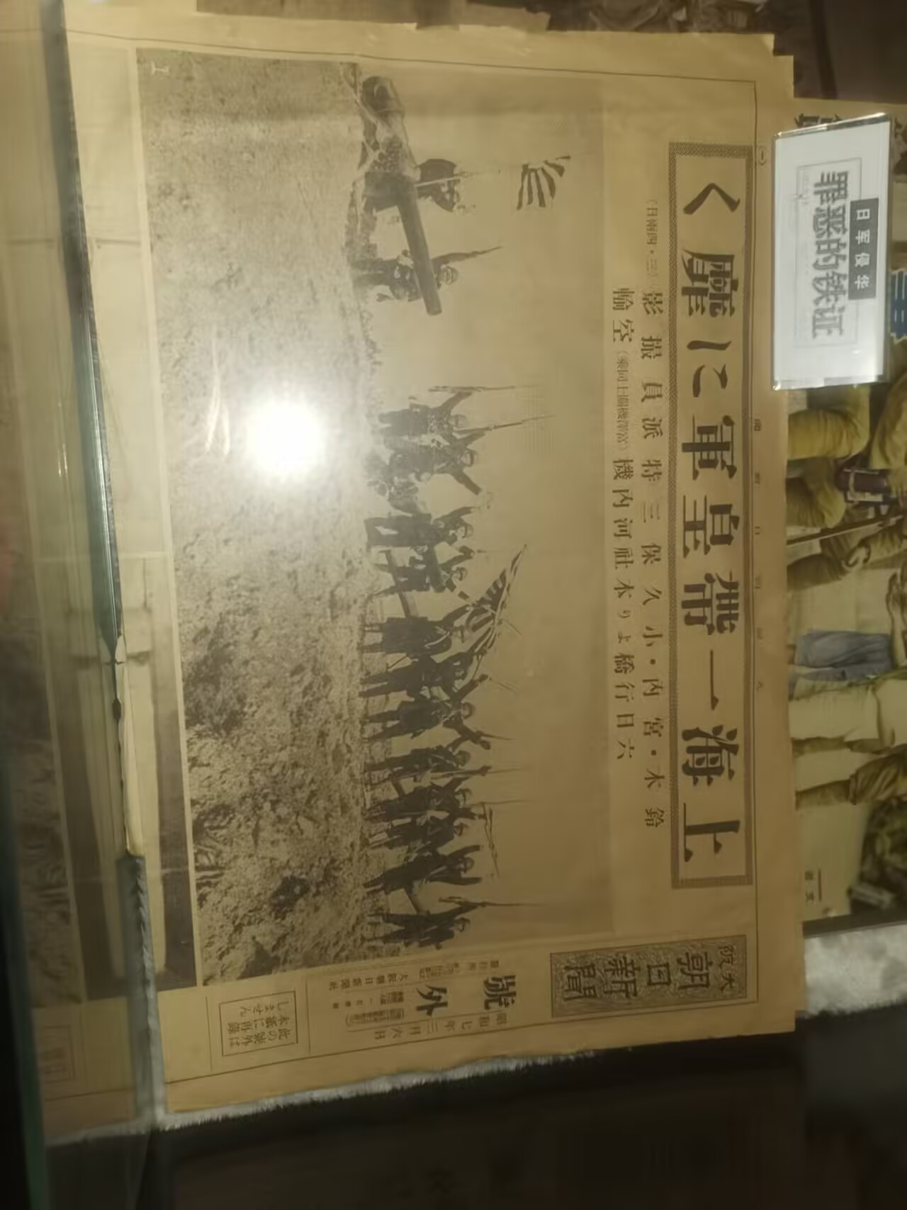 朝日下飘香之樱花