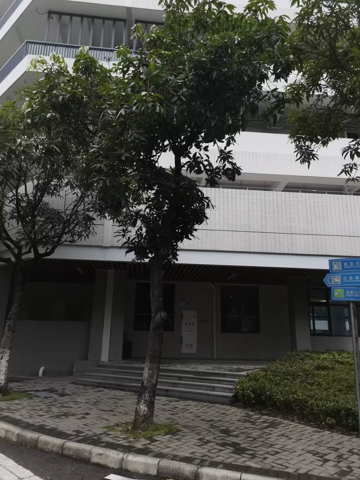 e723550552ed83b2b77f93b6244a50b5