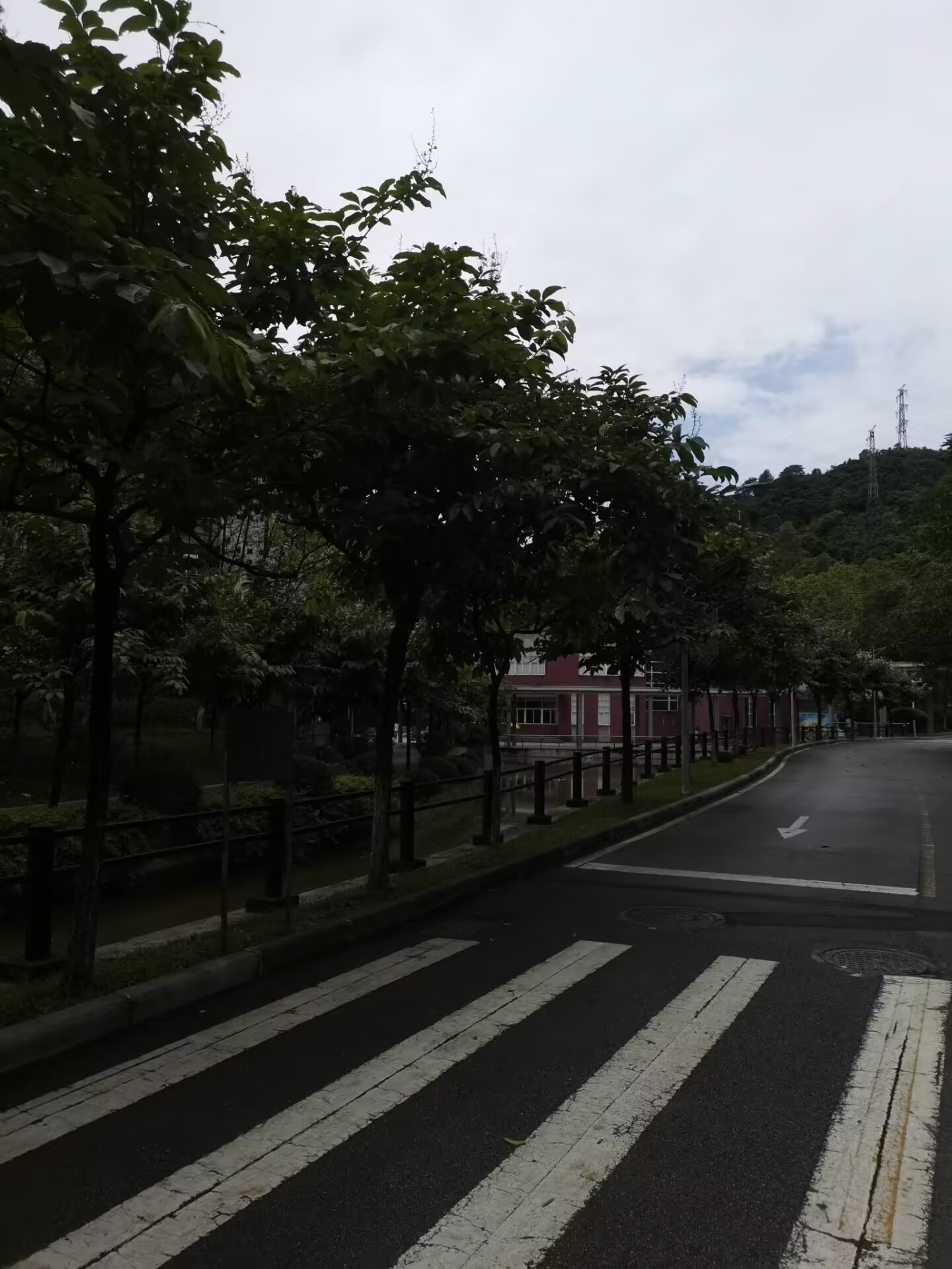 badac805265a56ff07fcb8651de9b712