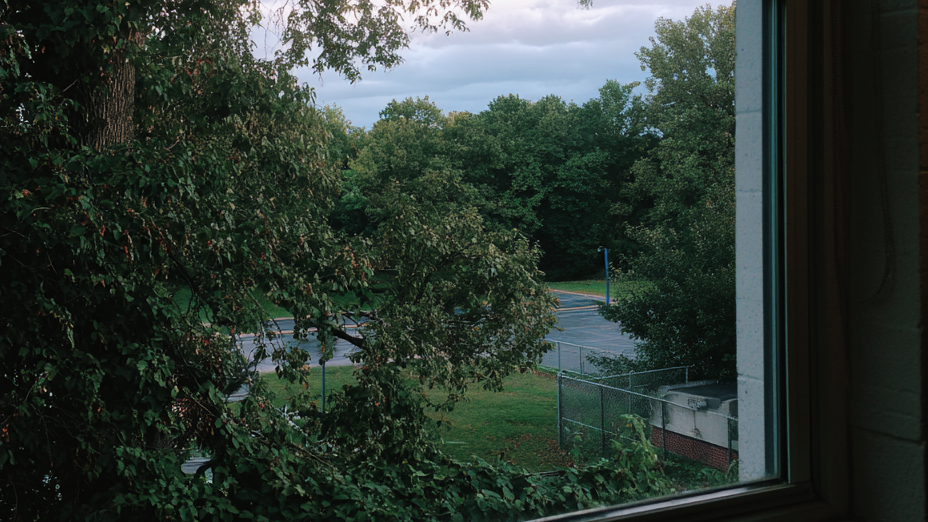 最近在备考公务员, 已经在幻想考公上岸后的生活了