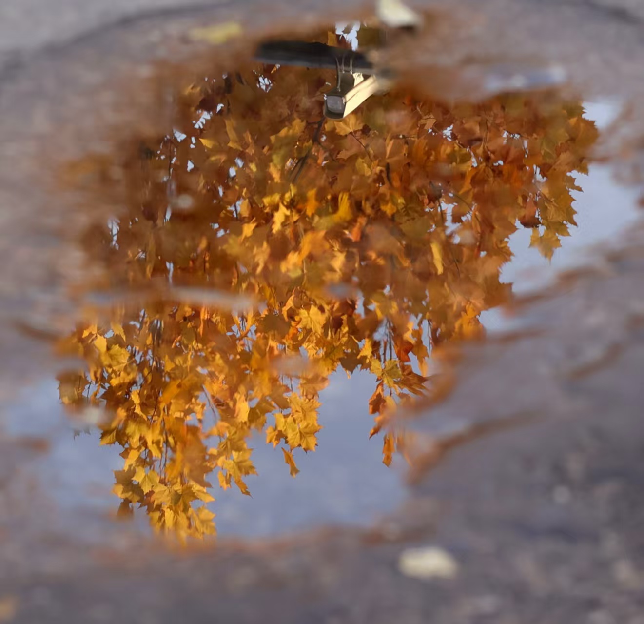 9f0a110dd2a1189585e979c81ca53f5d