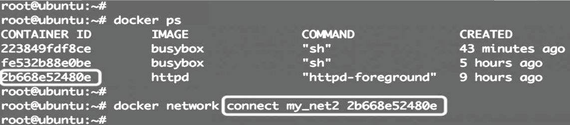 image-20250805000442-tksm2eu