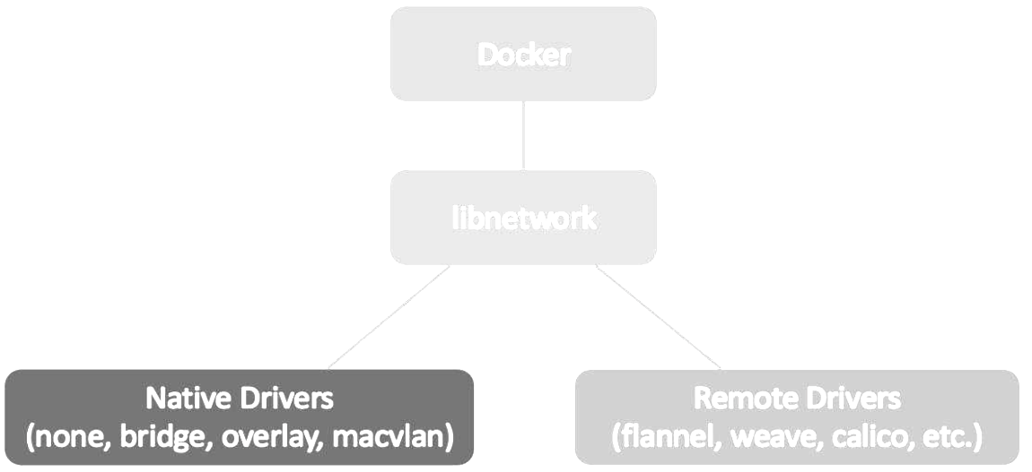 image-20250820231346-d8uqx1j