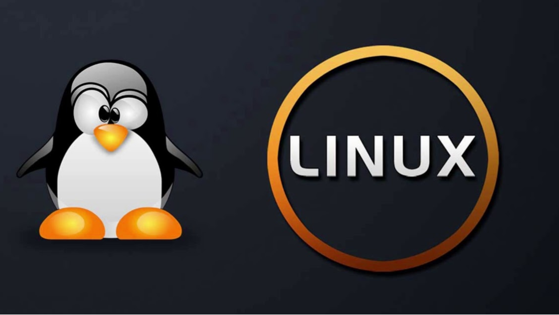 Linux——关于文件权限755的含义