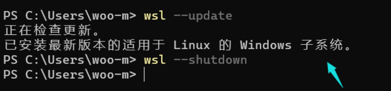 image-20250630230419216