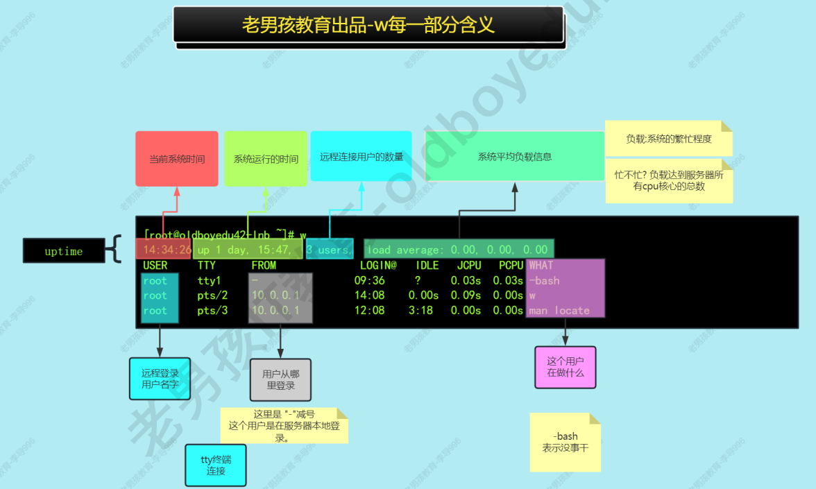 别名与用户管理体系