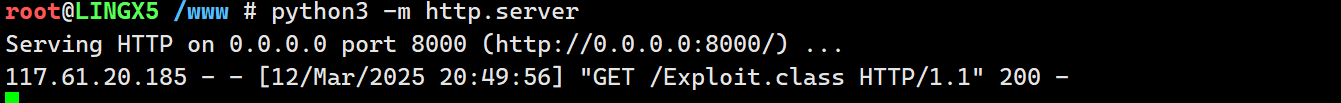 image-20250312205822986