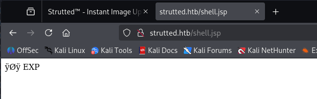 image-20250706211543416