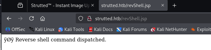 image-20250706214206279