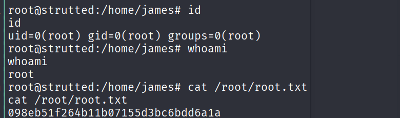 image-20250706223004317