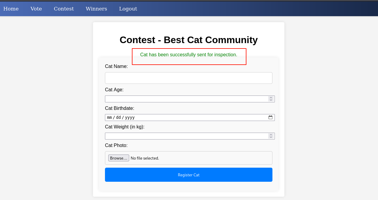 image-20250719123911915