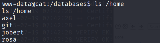 image-20250719202547271