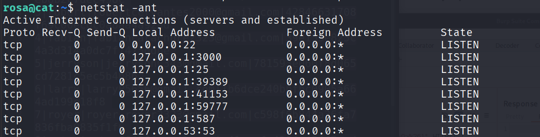 image-20250719203425682