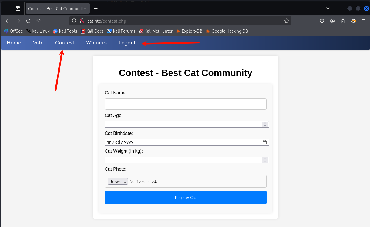 image-20250719123715495