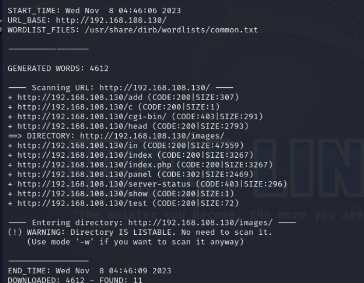 image-20231108174637012