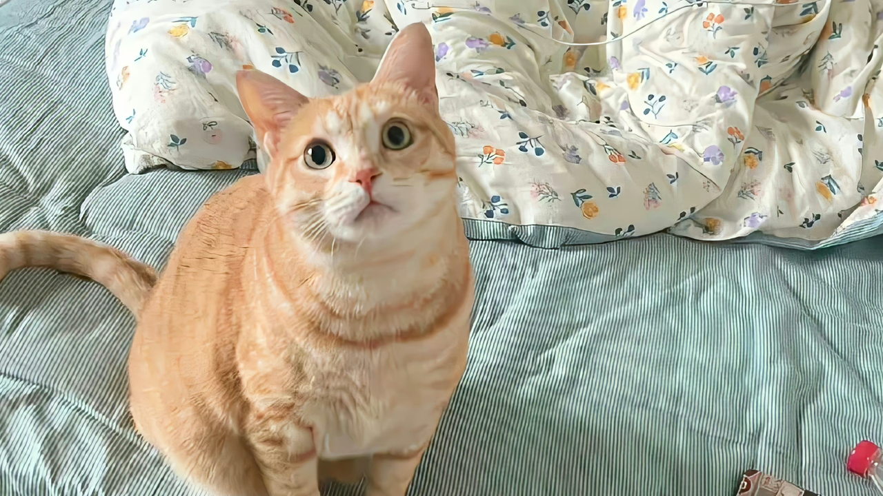 MCP技术：渗透测试从自动化到智能化