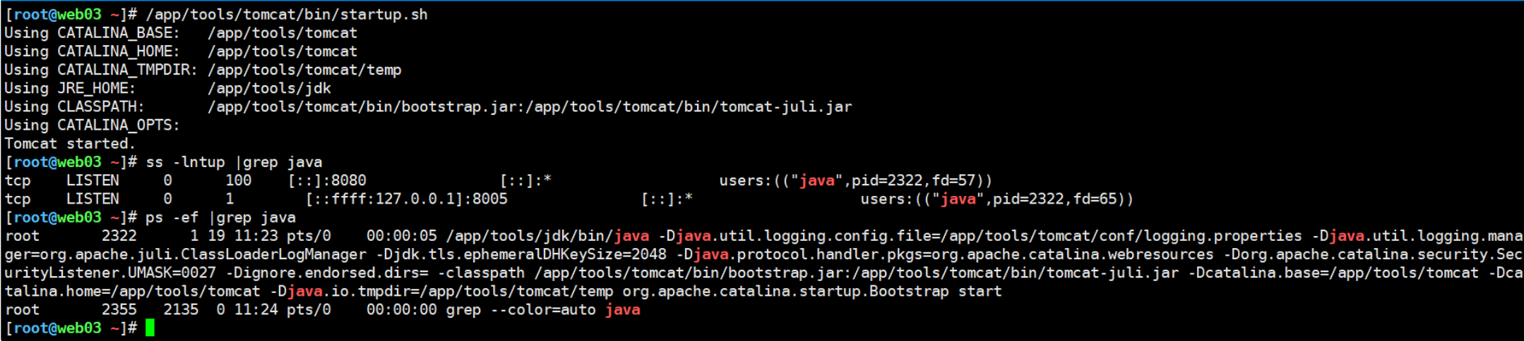 image-20260119103106694