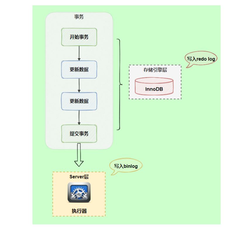 MySQL-17.其他数据日志-小白菜博客