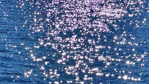 [2025.7.3 鲜花] 想要去往的地方