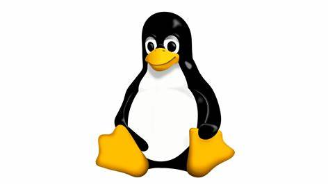 在 Linux 上统计当前目录下的文件数量