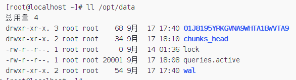 Prometheus修改数据存储位置