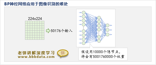 BP神经网络的参数灾难